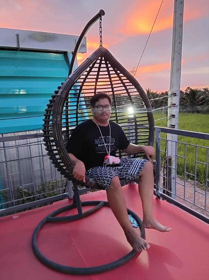 ชิงช้ารังนก รูปที่ 3