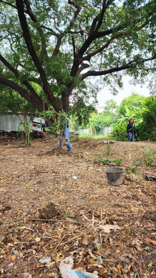 ที่ดินใจกลางเมือง พัฒนาการ 58, 13 นาทีถึงทองหล่อ รูปที่ 3