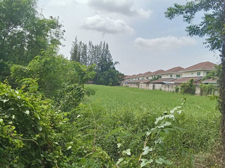 ไม่ใช่ ขายบ้านพร้อมที่ดิน 5 ไร่ 1 งาน 13.2 ตร.ว. ติดถนนหลวงหมายเลข 1014 สันกำแพง อยู่ในย่านเศรษฐกิจกลางเมือง ใกล้สถานที่สำคัญ รูปที่ 2