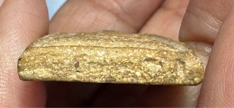 🙏พระสมเด็จพิมพ์ทรงเจดีย์ มวลสารเยอะ🙏พระสมเด็จพิมพ์ใหญ่บิ่นเดิม เนื้อดีพิมพ์ดี องค์ละ1550 รูปที่ 8