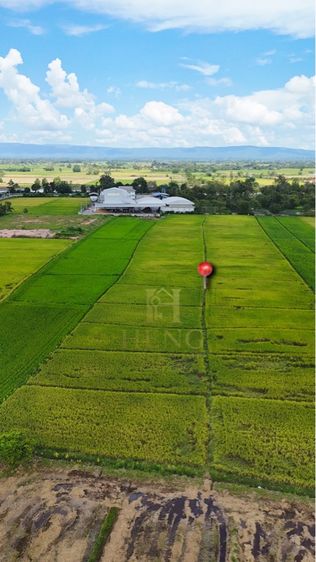 ไม่ใช่ ที่ดินเปล่า ที่นาผืนใหญ่ ใกล้ถนนใหญ่ เหมาะถือยาว ทำการเกษตร ผบตอบแทนระยะยาว รูปที่ 4