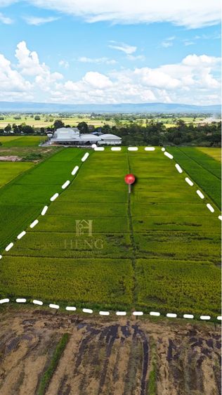 ไม่ใช่ ที่ดินเปล่า ที่นาผืนใหญ่ ใกล้ถนนใหญ่ เหมาะถือยาว ทำการเกษตร ผบตอบแทนระยะยาว รูปที่ 3