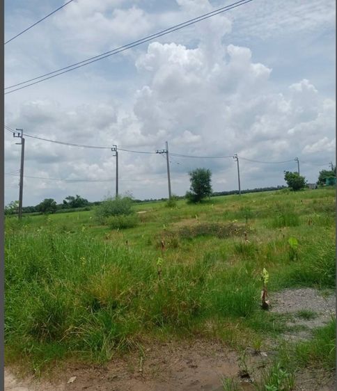 ไม่ใช่ ที่ดินเปล่า หนองจอก 198 ตารางวา - 4 ไร่ รูปที่ 2