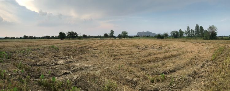 ไม่ใช่ ขายที่ดิน 12 ไร่ ใกล้ชุมชน ตำบล กลอนโด อำเภอ ด่านมะขามเตี้ย จังหวัด กาญจนบุรี ติดถนน และ คลองส่งน้ำ เหมาะสำหรับทำการเกษตร และ ที่อยู่อาศัย รูปที่ 2