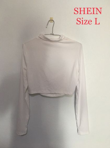 EU 38 อื่นๆ อื่นๆ เสื้อครอปสีขาวเรียบหรู ใส่ยังไงก็ดูแพง 🤍 เสื้อครอปแขนยาว SHEIN สีขาว สไตล์มินิมอล (Size L)