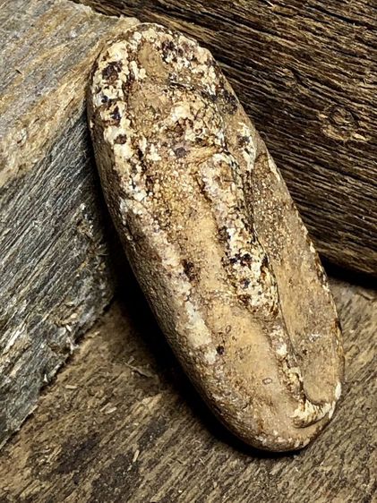 พระเครื่องวัตถุโบราณของเก่าๆคริ๊กโลโก้เข้าร้านได้เลยค่ะ 0-888-9-66466 รูปที่ 5