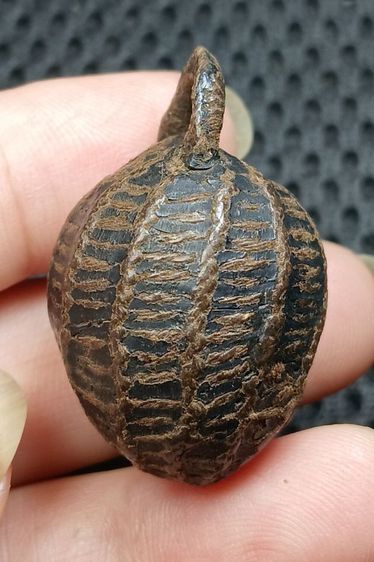 หมากทุยหลวงปู่เอี่ยมวัดหนัง รูปที่ 2