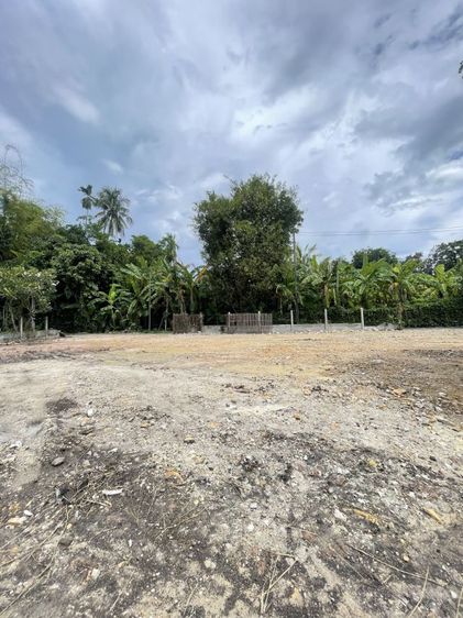 ที่ดิน109ตร.ว.ย่านชุมชน ต.เมืองเล็น ใกล้เมืองเชียงใหม่ 