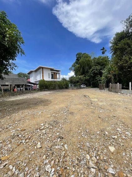 ที่ดิน109ตร.ว.ย่านชุมชน ต.เมืองเล็น ใกล้เมืองเชียงใหม่  รูปที่ 4
