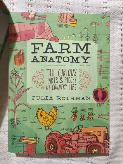 โล๊ะบ้าน ขาย The Julia Rothman Collection เป็นชุดประกอบด้วยหนังสือ 3 เล่ม พร้อมโปสการ์ดน่ารัก สภาพดีมาก ซื้อมายังไม่ได้อ่าน 😄 รูปที่ 7