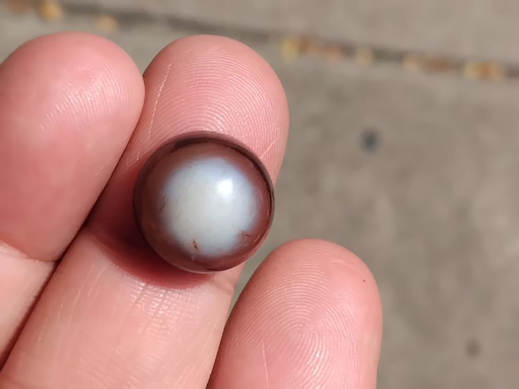 หินดวงตาสวรรค์ สีขาวตรงกลาง ขอบน้ำตาล หลังขาว ทรงกลม เจาะรู สีงดงามมากเม็ดนี้ โทนเข้มๆ ขนาดเส้นผ่าศูนย์กลาง ประมาณ 1 ซม.เม็ดกำลังสวย มีน้ำหน รูปที่ 5