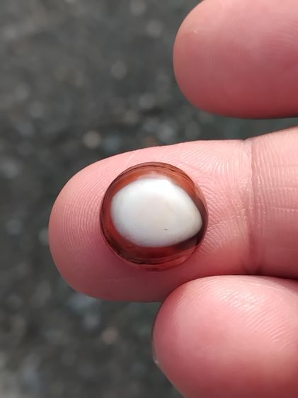 หินดวงตาสวรรค์ 2 สี สีขาวตรงกลาง และขอบน้ำตาลเข้ม ทรงกลม สีงดงามมากเม็ดนี้ โทนเข้มๆ ขนาดเส้นผ่าศูนย์กลาง ประมาณ 1 ซม.เม็ดกำลังสวย มีน้ำหนัก  รูปที่ 5