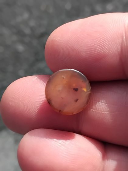 หินดวงตาสวรรค์ 2 สี สีขาวตรงกลาง และขอบน้ำตาลเข้ม ทรงกลม สีงดงามมากเม็ดนี้ โทนเข้มๆ ขนาดเส้นผ่าศูนย์กลาง ประมาณ 1 ซม.เม็ดกำลังสวย มีน้ำหนัก  รูปที่ 6