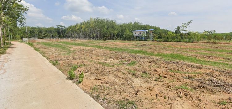 ที่ดินแปลงสวย ทำเลดีเยี่ยม ติดถนนคอนกรีต ใกล้โรงงานใหญ่-ตลาดคลองแงะ รูปที่ 2