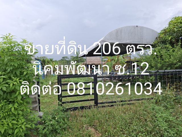 ไม่ใช่ ขายที่ดินเปล่า ทำเลทอง ต.พนานิคม อ.นิคมพัฒนา ซ.12 ระยอง เนื้อที่ 206 ตรว. เหมาะสร้างบ้าน ห้องเช่า อยู่ใกล้ 3นิคม อมตะซิตี้,WHA,โรจนปลวกแดง  รูปที่ 4