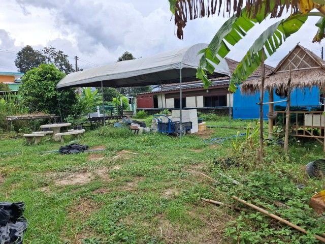 ไม่ใช่ ขายที่ดินเปล่า ทำเลทอง ต.พนานิคม อ.นิคมพัฒนา ซ.12 ระยอง เนื้อที่ 206 ตรว. เหมาะสร้างบ้าน ห้องเช่า อยู่ใกล้ 3นิคม อมตะซิตี้,WHA,โรจนปลวกแดง  รูปที่ 3