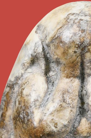 พระปิดตาหลวงพ่อแก้ว วัดเครือวัลย์ พิมพ์ใหญ่ รูปที่ 6