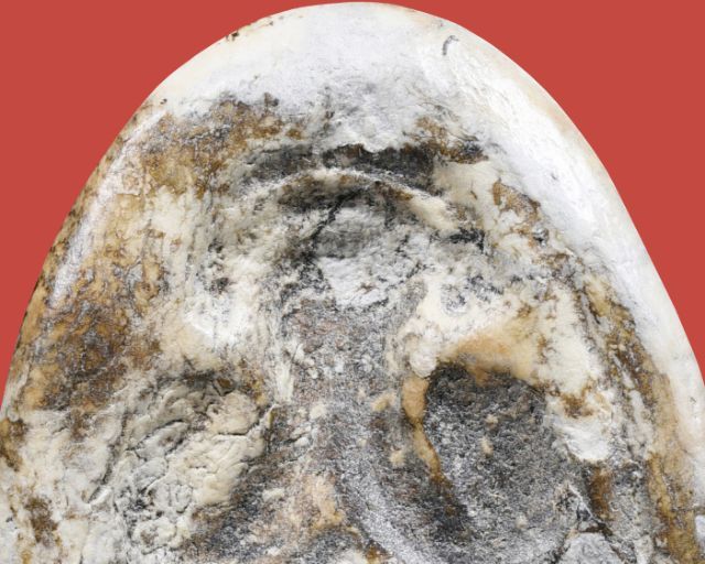 พระปิดตาหลวงพ่อแก้ว วัดเครือวัลย์ พิมพ์ใหญ่ รูปที่ 13