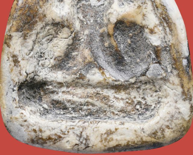 พระปิดตาหลวงพ่อแก้ว วัดเครือวัลย์ พิมพ์ใหญ่ รูปที่ 15