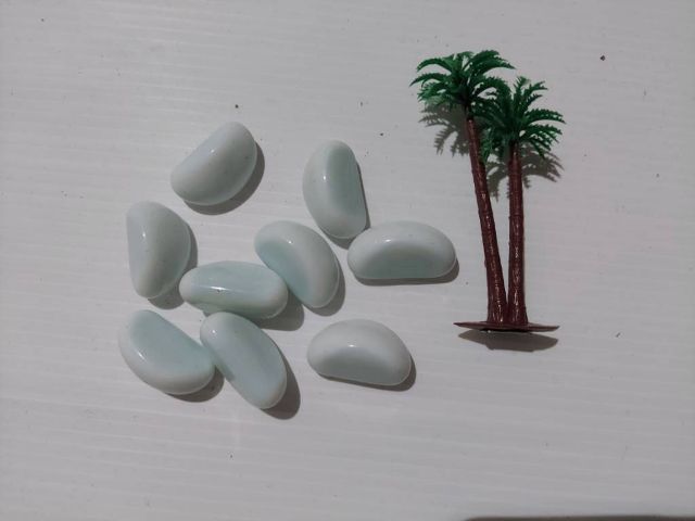 ปาล์มจิ๋ว ตกแต่งตู้ปลา ตกแต่งสวนถาด หินกรวด หินขัดเงาสีขาว รูปที่ 3