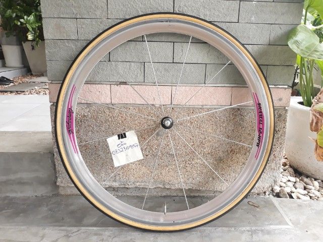 ขายล้อหน้าCampagnolo Shamal 12 ซี่ 700C ส่งลงทะเบียนฟรี