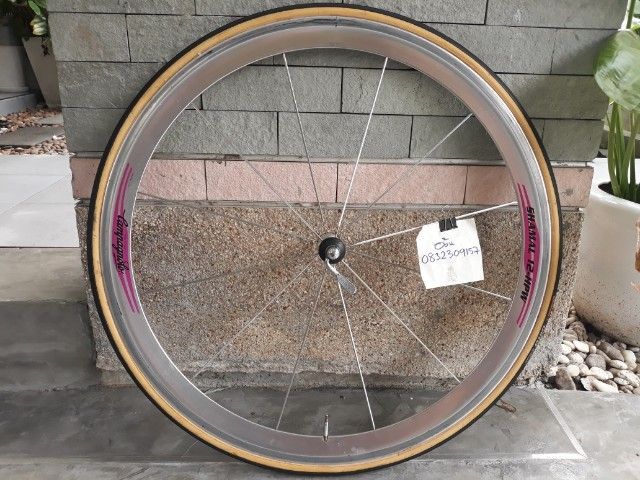 ขายล้อหน้าCampagnolo Shamal 12 ซี่ 700C ส่งลงทะเบียนฟรี รูปที่ 2