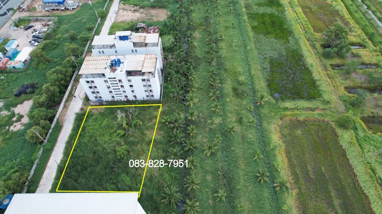 ไม่ใช่ ขายที่ดิน 336 ตารางวา อ.องครักษ์ ติดกับบริษัท ไทสัน เหมาะทำหอพัก รูปที่ 2