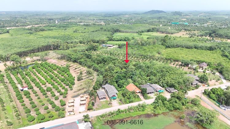 ไม่ใช่ ขายสวนยางพารา เนื้อที่ 8 ไร่ 192 ตารางวา ต.พังราด อ.แกลง ขายยกแปลง 5.5 ล้านบาท รูปที่ 3