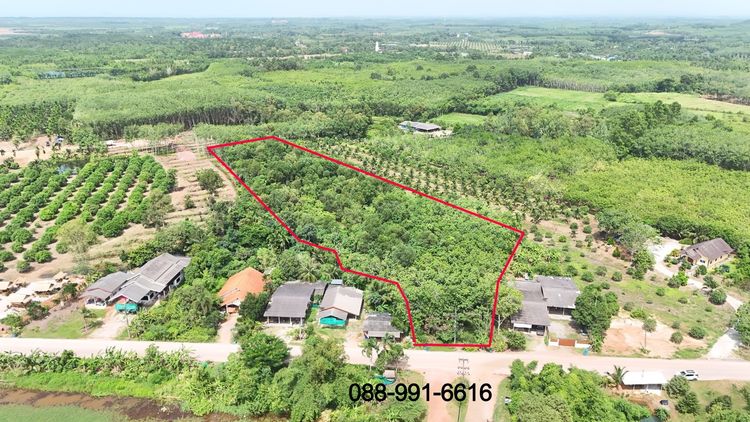 ไม่ใช่ ขายสวนยางพารา เนื้อที่ 8 ไร่ 192 ตารางวา ต.พังราด อ.แกลง ขายยกแปลง 5.5 ล้านบาท