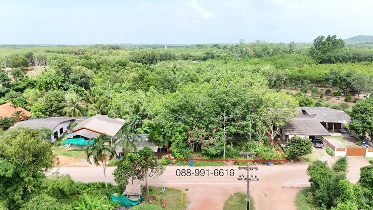 ไม่ใช่ ขายสวนยางพารา เนื้อที่ 8 ไร่ 192 ตารางวา ต.พังราด อ.แกลง ขายยกแปลง 5.5 ล้านบาท รูปที่ 2