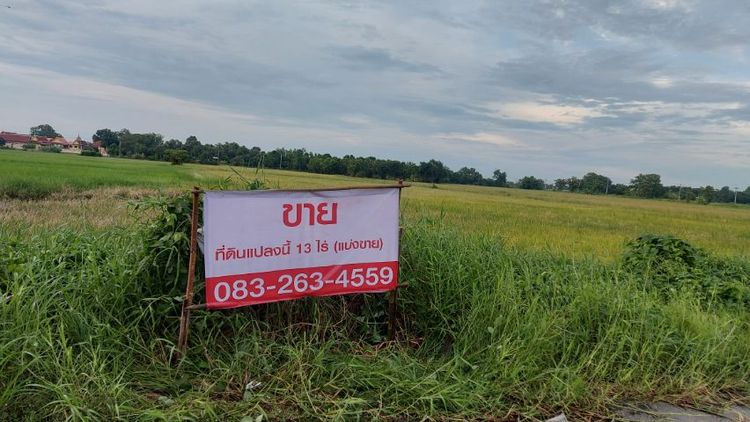 ใช่ ขายที่ดิน12ไร่เศษ จ.สระบุรี อ.หนองแซง ไกล้วัดตะโก ไกล้อ.ภาชี ที่สวยถนน น้ำไฟ ครบ รูปที่ 3