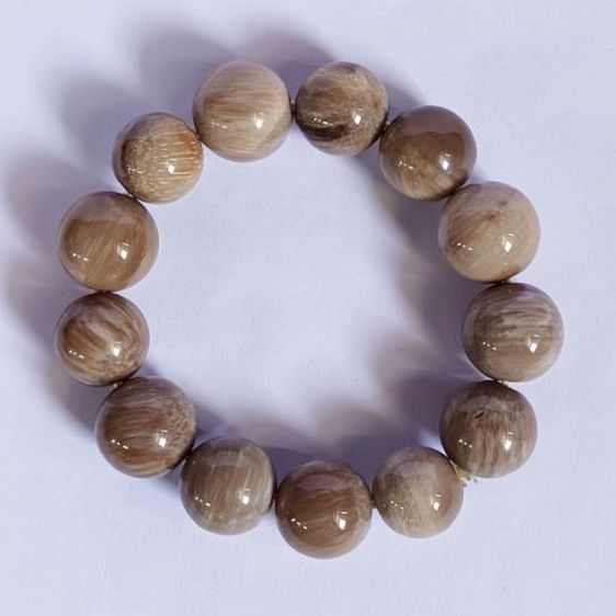 สร้อยข้อมือหินแท้ Fossil Wood รูปที่ 5