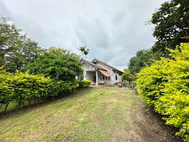 บ้านสวน 2 แปลง รูปที่ 2