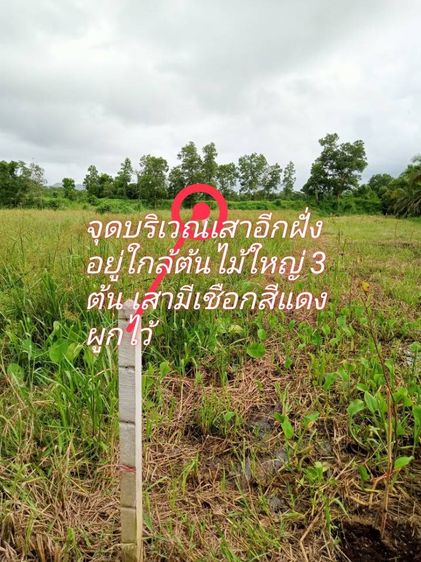 ไม่ใช่ ขายที่ดินมี 2 แปลง แปลงละ 1 ไร่ 2งาน บางนายสี ตะกั่วป่าพังงา ใกล้ศูนย์ราชการ เจ้าของขายเอง ถูกกว่าราคาประเมิน รูปที่ 4
