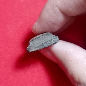 หลวงปู่ทวด รูปที่ 3