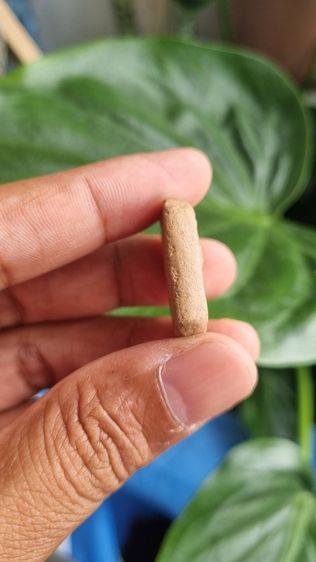 พระหลวงพ่อปาน พิมพ์ทรงหนุมานแบกแท่น ตามรูป  รูปที่ 10