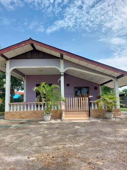 ขายบ้านเดี่ยวชั้นเดียว หมู่บ้านหางแขยง สไตล์ไทย - ยุโรป 3 หลัง เริ่มต้น 2 งาน ติดถนนใหญ่ พร้อมเฟอร์นิเจอร์ ต.หางน้ำสาคร ชัยนาท