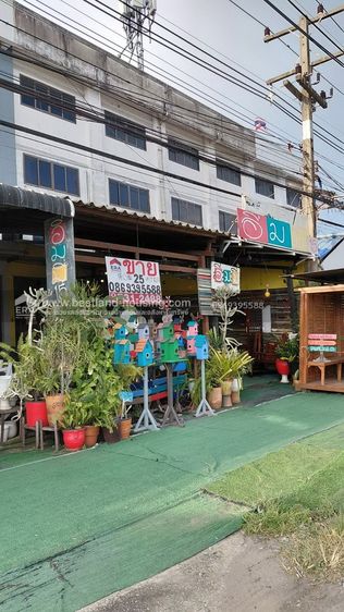 ไม่ใช่ ขายอาคารพาณิชย์ 3 ชั้น คลอง15 ใกล้มศว องครักษ์ ถนนรังสิต-นครนายก พื้นที่ 25 ตรว. รูปที่ 2