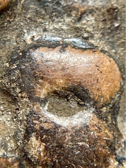 พระปิดตาสี่ทิศ กรุวัดคู้ยาง รูปที่ 8