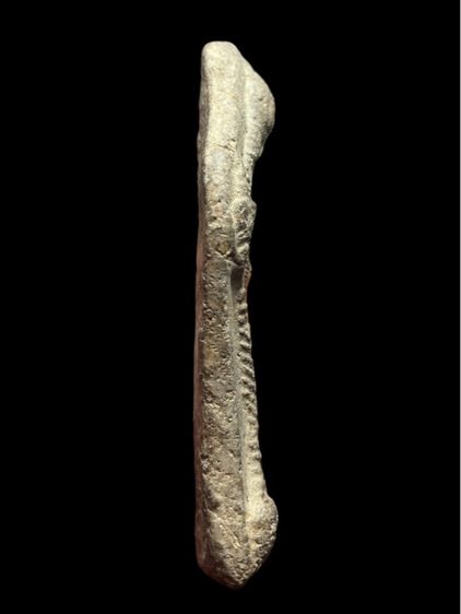 (ขายแล้ว)พระร่วงเปิดโลก หลวงพ่อโบวัดศิลาชลเขต จ.นครศรีธรรม(097) รูปที่ 4