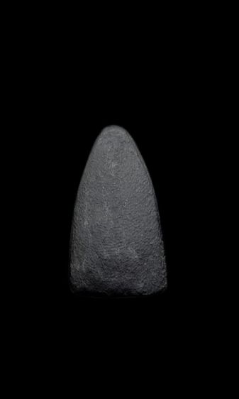 หลวง​ปู่ทวด​ วัดช้างไห้​ เนื้อว่าน​  ปี24 อนาคต​ไกล​ เก็บไว้เป็นทุนได้เลยลูก รูปที่ 2