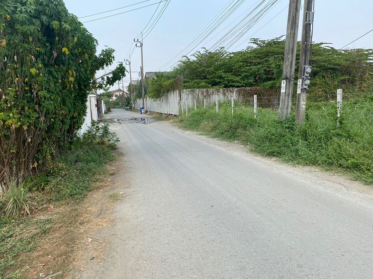 ขายวาละ 45,000 บาท ที่ดิน 1 ไร่ ถนนนวมินทร์ ใกล้ทางด่วนเอกมัยรามอินทรา