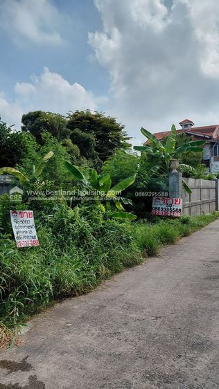 ไม่ใช่ ขายที่ดิน 50 ตรว. ซอยสุขาภิบาล5 ซอย5 แยก13 สวย รูปที่ 4