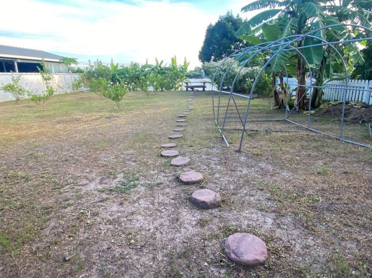 ไม่ใช่ ขายที่ดินเปล่าถมแล้วขนาด 116 ตร.ว. ติดทะเลสาบ หมู่บ้านสัมมากร รามคำแหง 110 เขตสะพานสูง กรุงเทพฯ ทำเลทอง บรรยากาศร่มรื่น รูปที่ 4