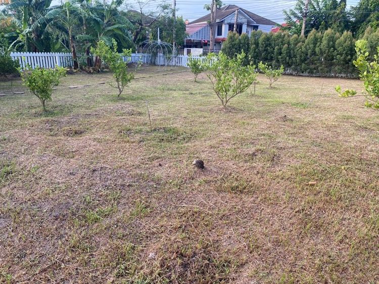 ไม่ใช่ ขายที่ดินเปล่าถมแล้วขนาด 116 ตร.ว. ติดทะเลสาบ หมู่บ้านสัมมากร รามคำแหง 110 เขตสะพานสูง กรุงเทพฯ ทำเลทอง บรรยากาศร่มรื่น รูปที่ 3