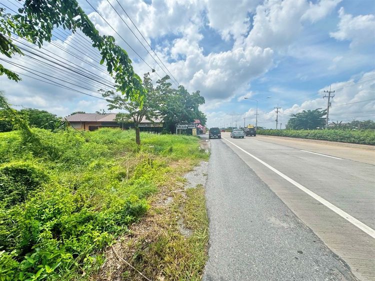 ขายที่ดินถมแล้ว 6 ไร่ 1 งาน ติดถนนมาลัยแมน อ.เมือง สุพรรณบุรี ทำเลธุรกิจ รูปที่ 2