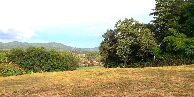 ขายที่ดินแปลงสวยบนเนินเขา 15 ไร่(โฉนด)ใกล้ตัวเมือง อ.เมือง จ.เลย รูปที่ 3