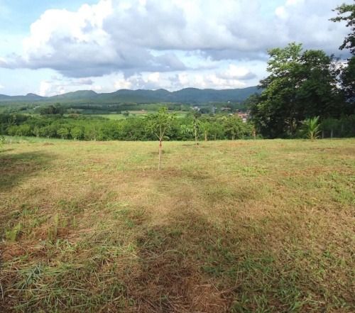 ขายที่ดินแปลงสวยบนเนินเขา 15 ไร่(โฉนด)ใกล้ตัวเมือง อ.เมือง จ.เลย