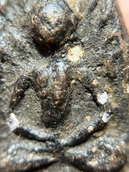 หลวงปู่บุญ พิมพ์ปรกโพธิ์ใหญ่ เนื้อผงยา รูปที่ 5