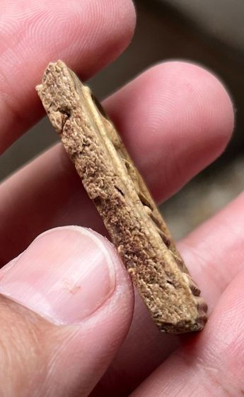 สมเด็จเก่า รูปที่ 4